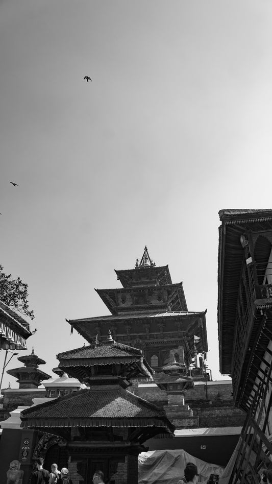 Birds above temples 